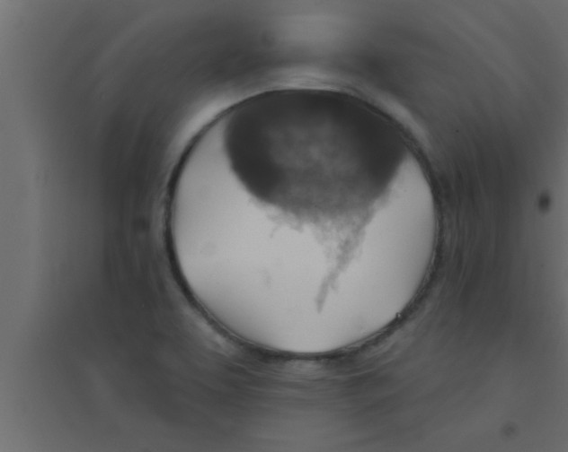 X0000094211463200711241649