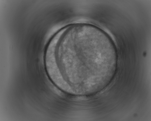 X0000094211464200711241649