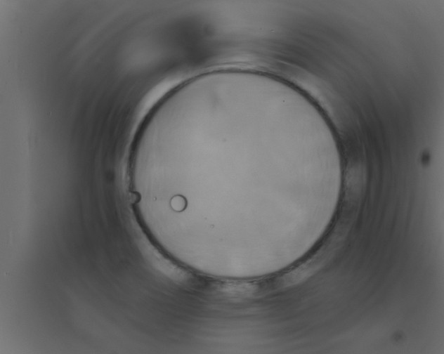 X0000094211466200711241649