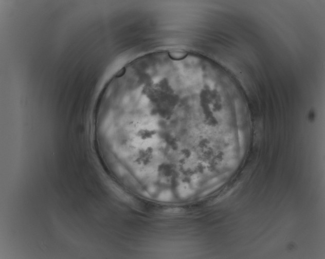 X0000094211467200711241649