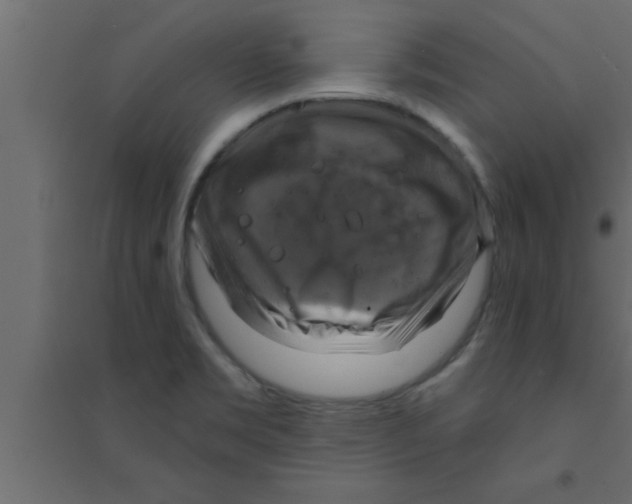 X0000094211469200711241649