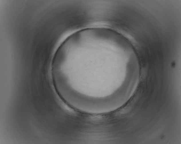 X0000094211470200711241649