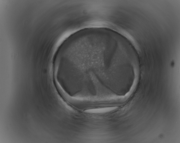 X0000094211472200711241649