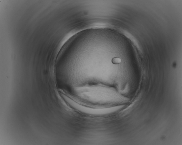 X0000094211473200711241649