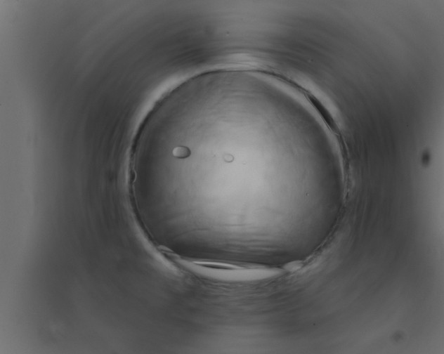 X0000094211477200711241649