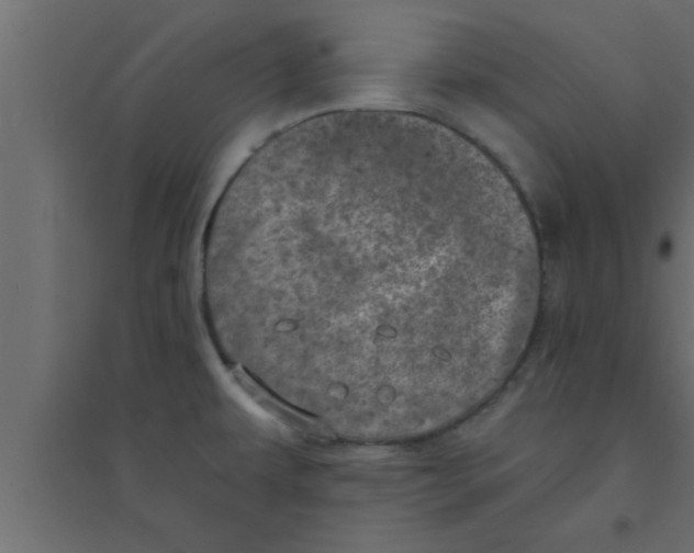 X0000094211479200711241649