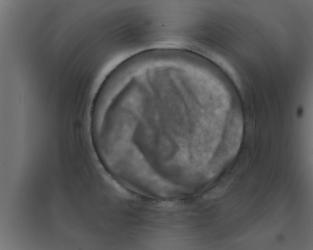 X0000094211480200711241649