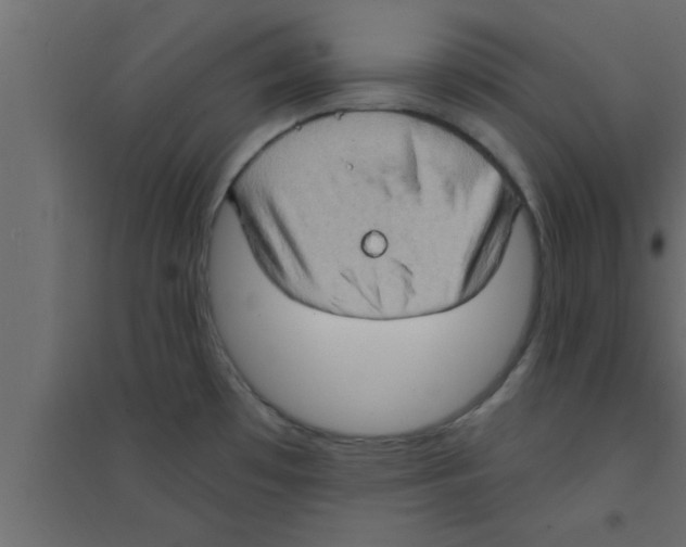 X0000094211481200711241649