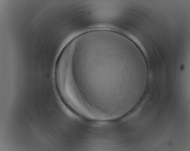 X0000094211482200711241649