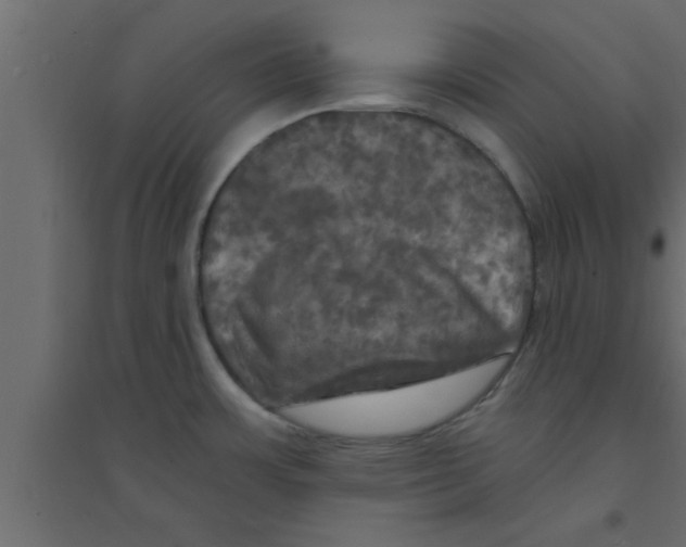 X0000094211483200711241649