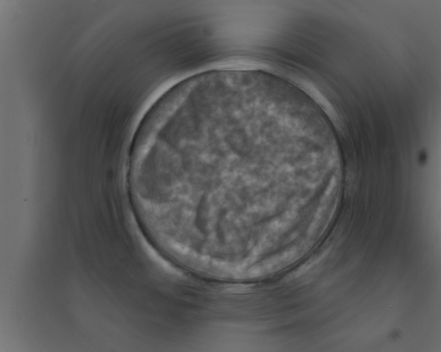 X0000094211484200711241649