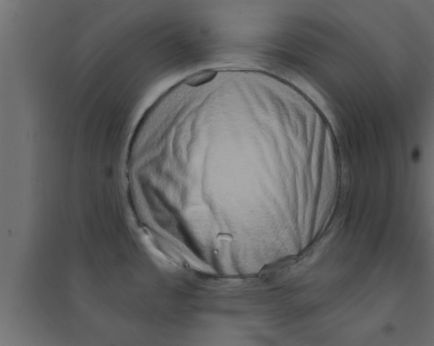 X0000094211485200711241649