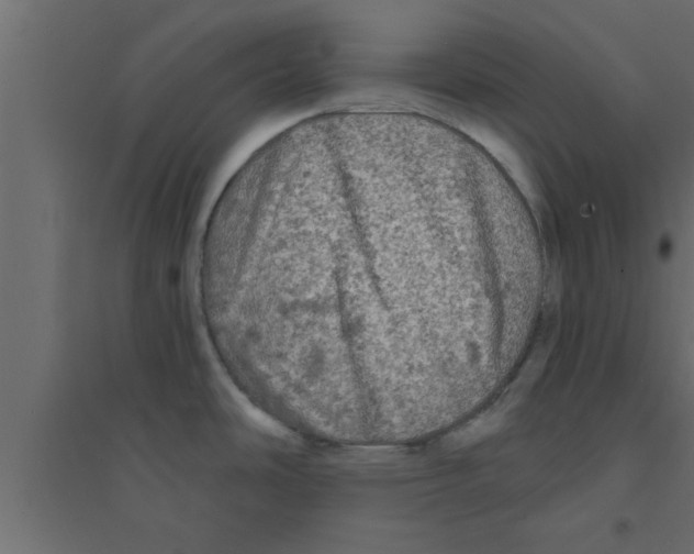 X0000094211486200711241649