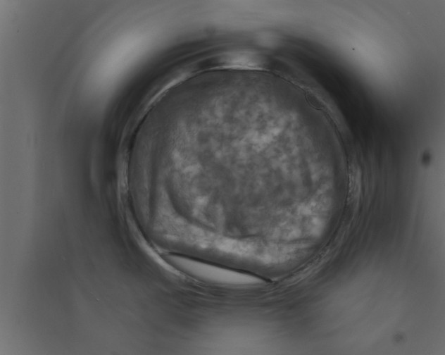 X0000094211487200711241649