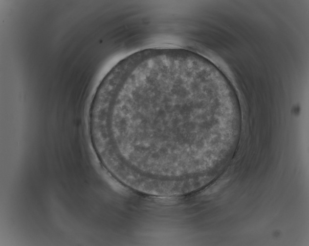 X0000094211488200711241649