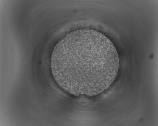 X0000094211489200711241648