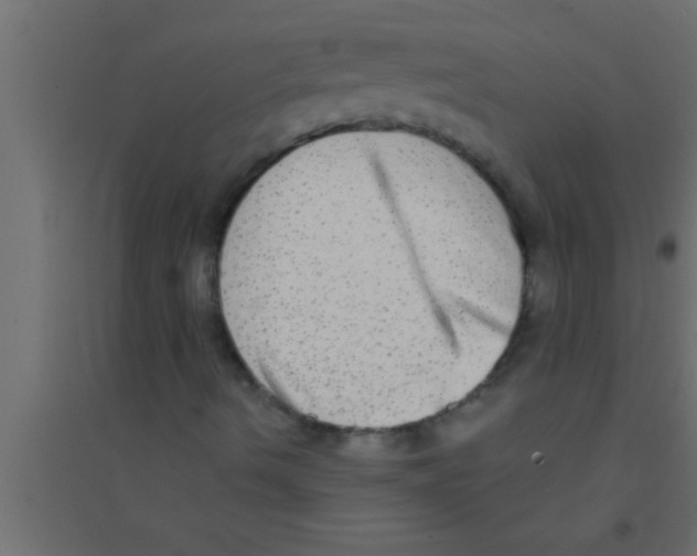 X0000094211490200711241648
