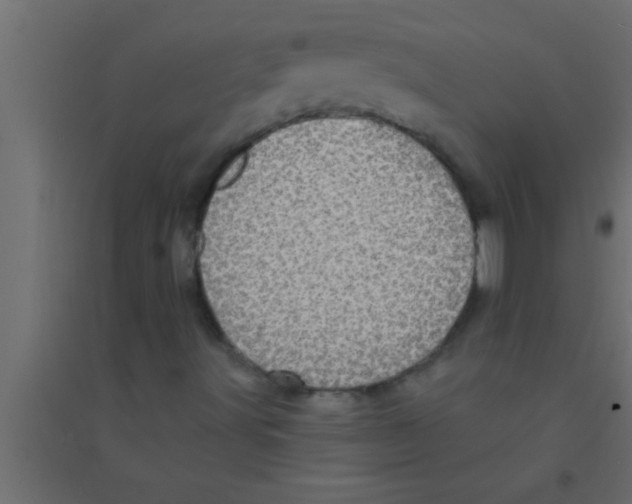 X0000094211491200711241648
