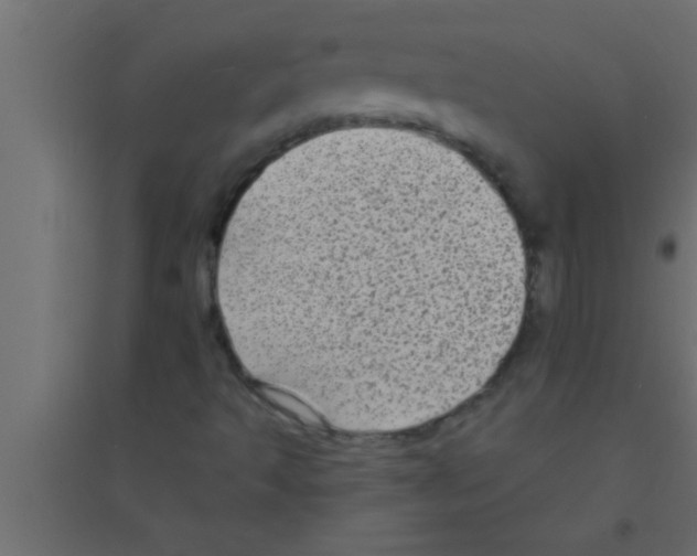 X0000094211493200711241648