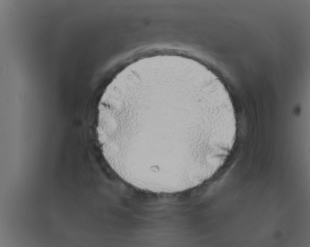 X0000094211494200711241648