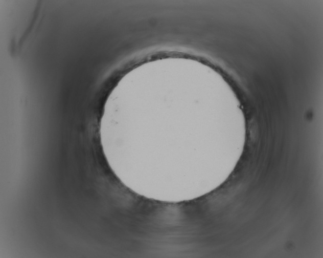 X0000094211495200711241648