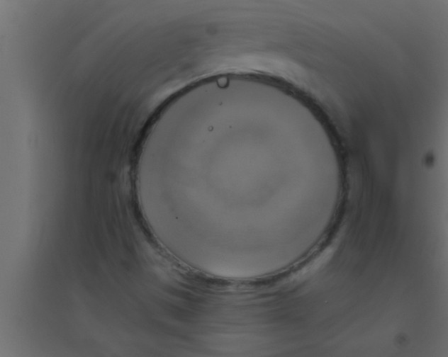 X0000094211497200711241648