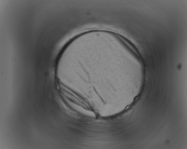 X0000094211503200711241648