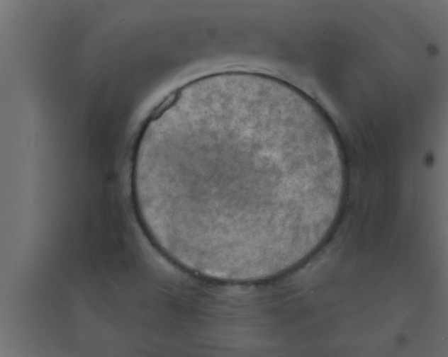 X0000094211504200711241648