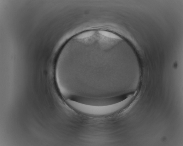 X0000094211506200711241648
