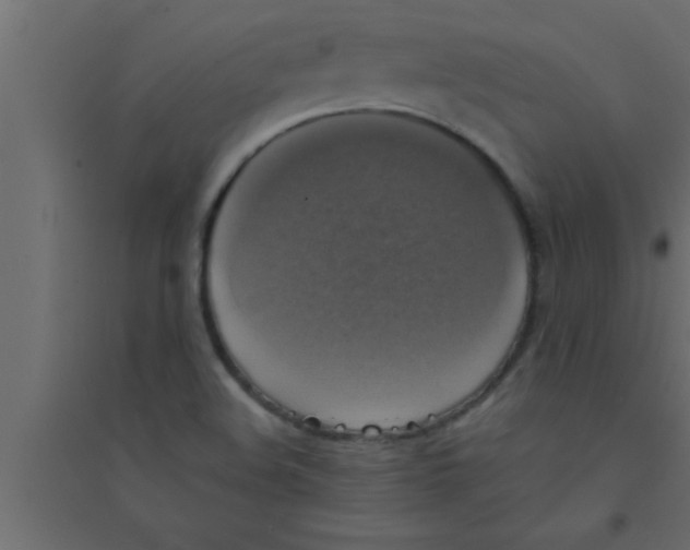 X0000094211508200711241648