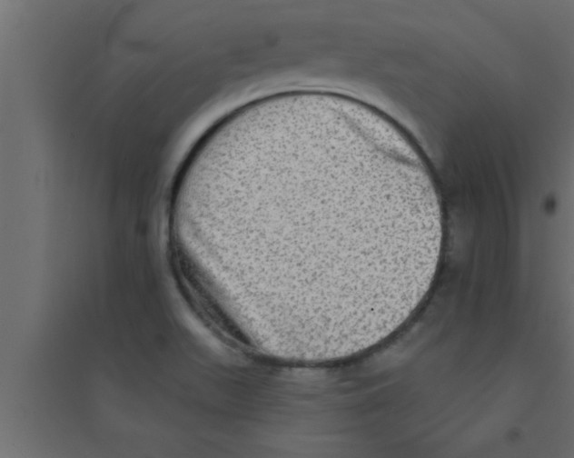X0000094211511200711241648