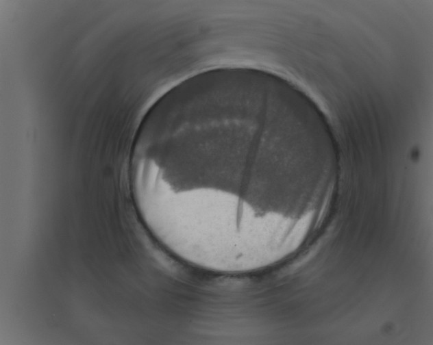 X0000094211513200711241648
