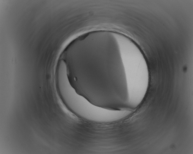 X0000094211515200711241648