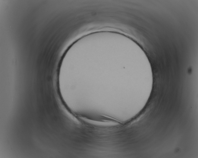 X0000094211518200711241649