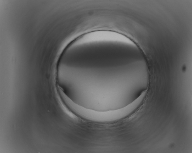 X0000094211519200711241649