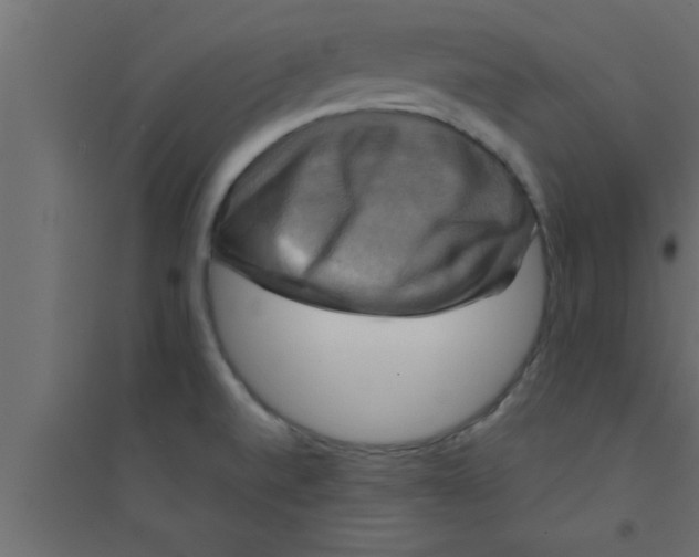 X0000094211520200711241649