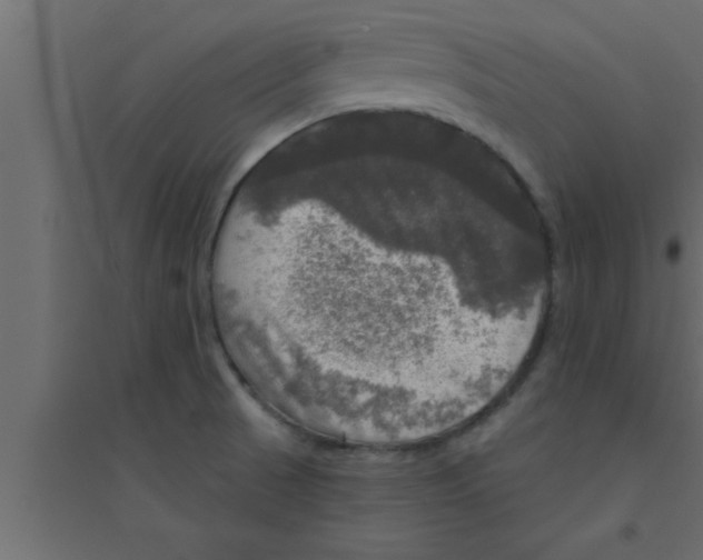 X0000094211521200711241649