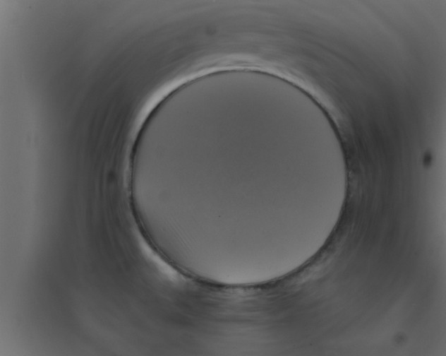 X0000094211527200711241649