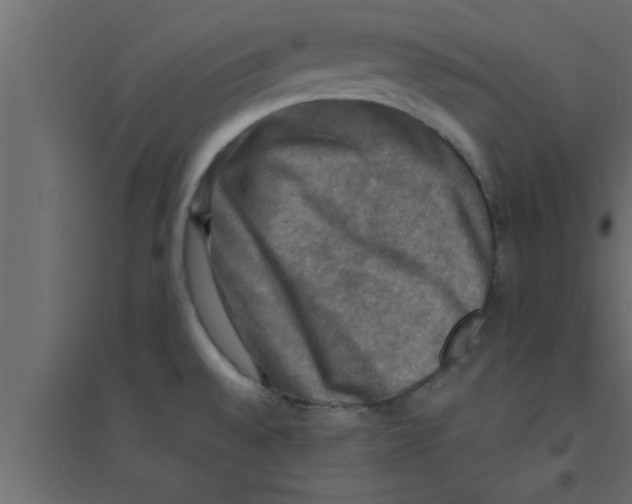 X0000094211528200711241649