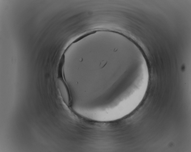 X0000094211529200711241649
