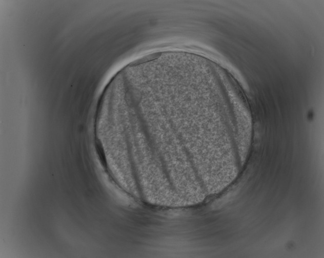 X0000094211530200711241649