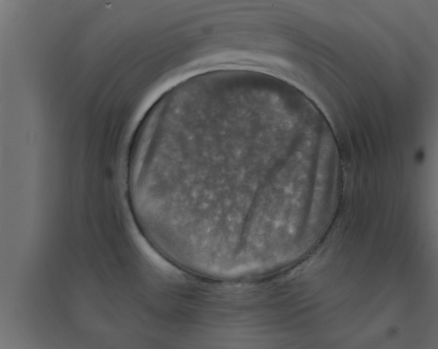 X0000094211531200711241649
