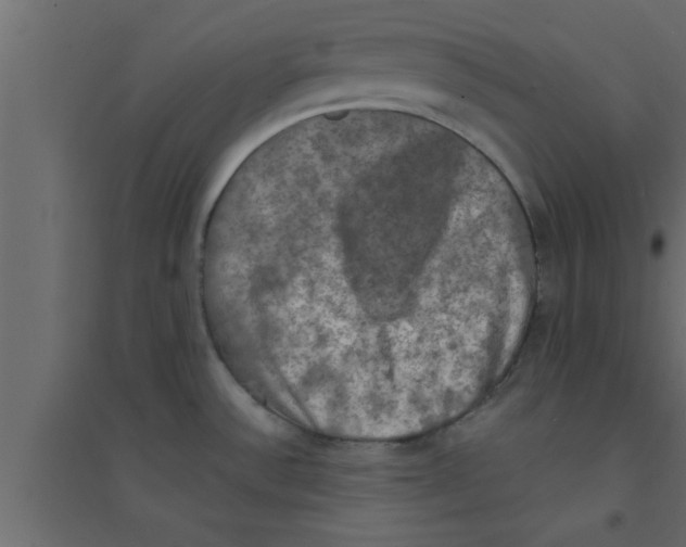 X0000094211532200711241649