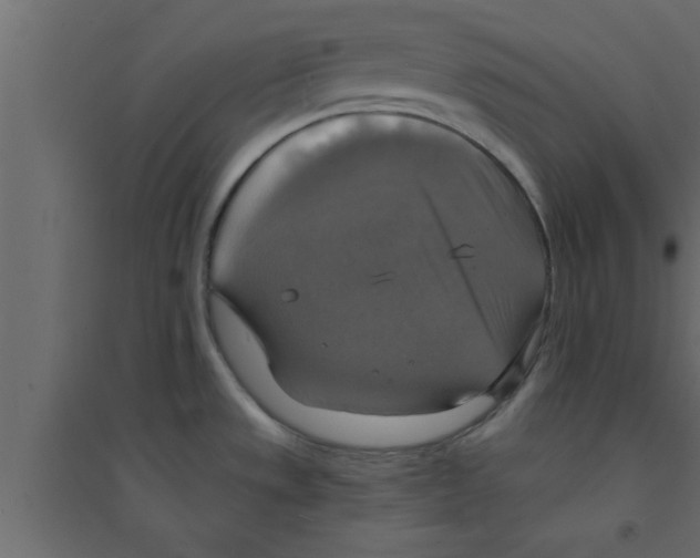 X0000094211533200711241649