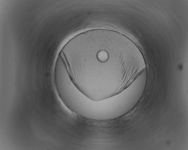 X0000094211536200711241649