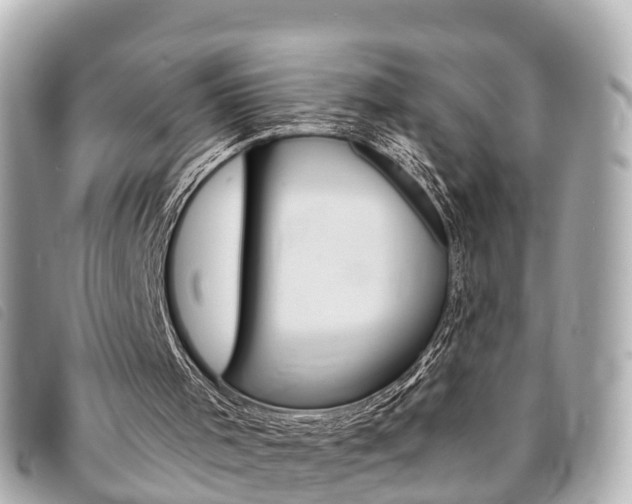 X0000094220001200710261003