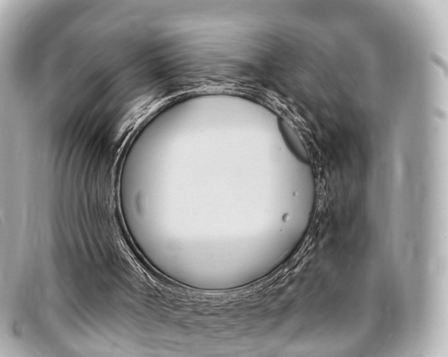 X0000094220002200710261003