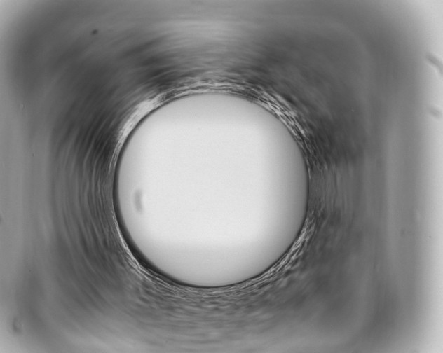 X0000094220003200710261003