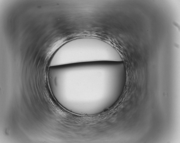 X0000094220005200710261003