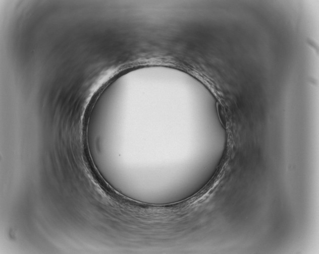 X0000094220008200710261003